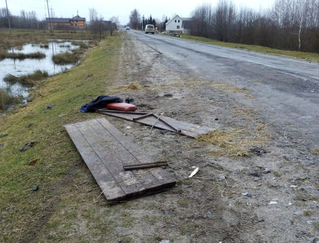 На Волині автомобіль в'їхав в підводу: керманичку шпиталізували. ФОТО