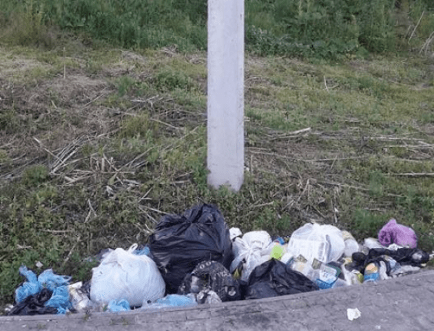 У Луцьку просять встановити підземний сміттєвий контейнер поблизу замку Любарта