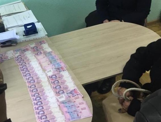Волинянці, яка тицяла гроші прокуророві, «світить» до восьми років за ґратами. ФОТО