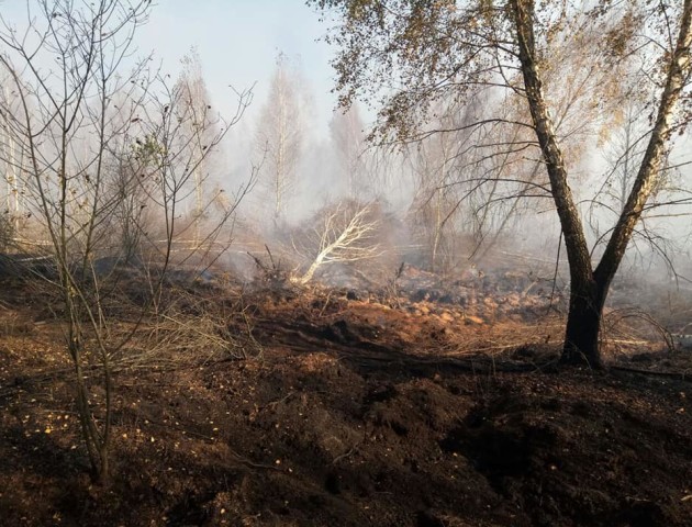 На Волині в 5-ти районах горів торф. ФОТО