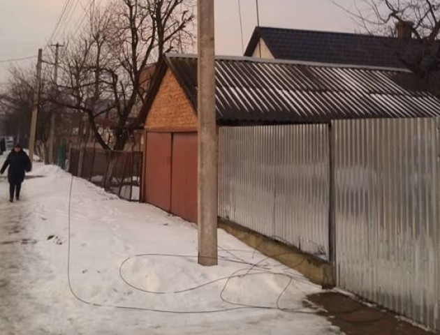 У Луцьку незаконно зрізали каштани. ВІДЕО