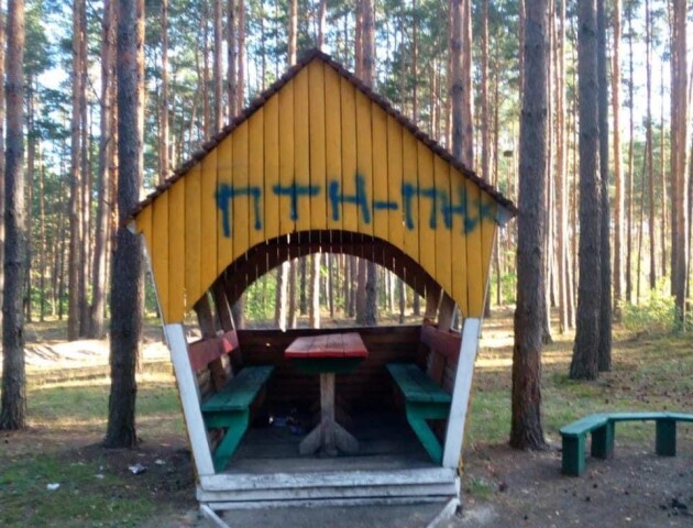 Патріотизм чи вандалізм: у рекреаційному пункті на Волині залишили нецензурні написи