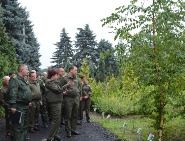 Волинські лісники проінспектували результати піврічної роботи. ФОТО