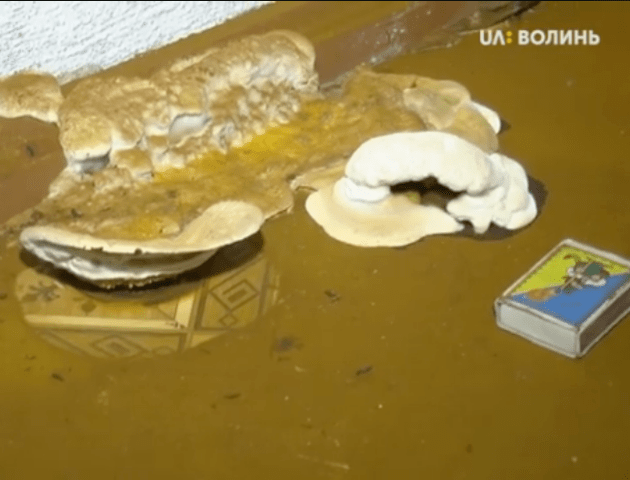 Амбулаторію на Волині, яка вражена грибком, планують перенести в інше село. Люди - проти