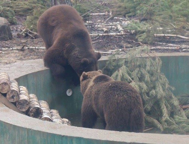 12 історій тварин, яких врятували у Луцькому зоопарку. ФОТО