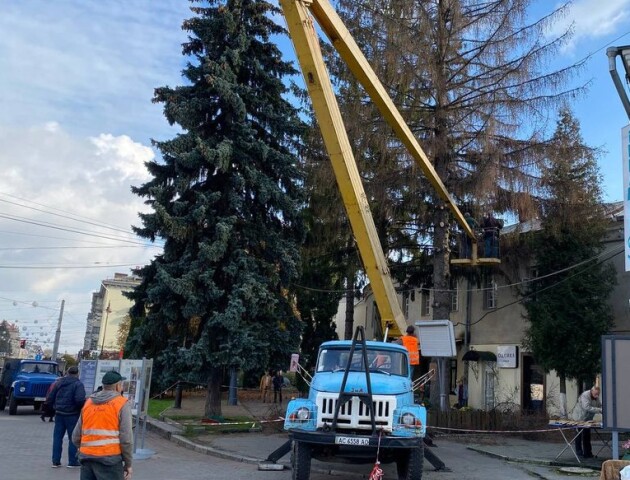 У Луцьку на Театральному майдані зрізають сухі дерева