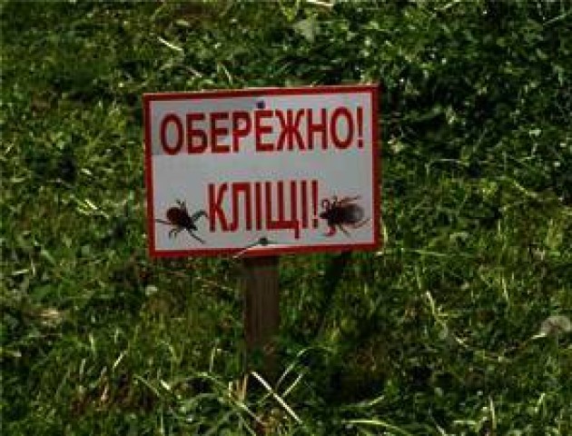 Волинь атакували кліщі
