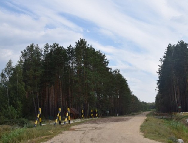 Волинські лісівники збудували майже 70 кілометрів доріг. ФОТО