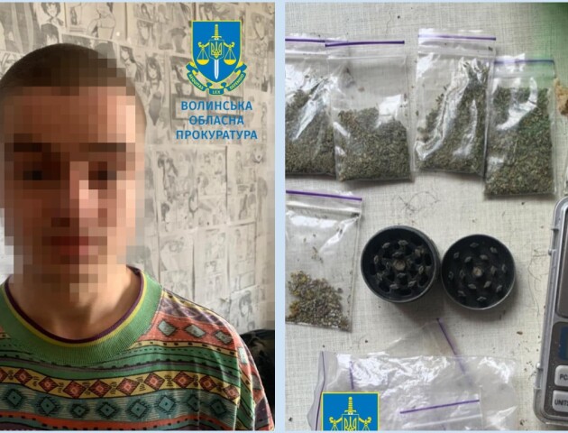 Волинянин втрапив за грати на 6 років за збут канабісу