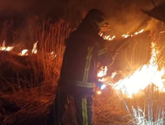 На Волині невідомі підпалили сухостій