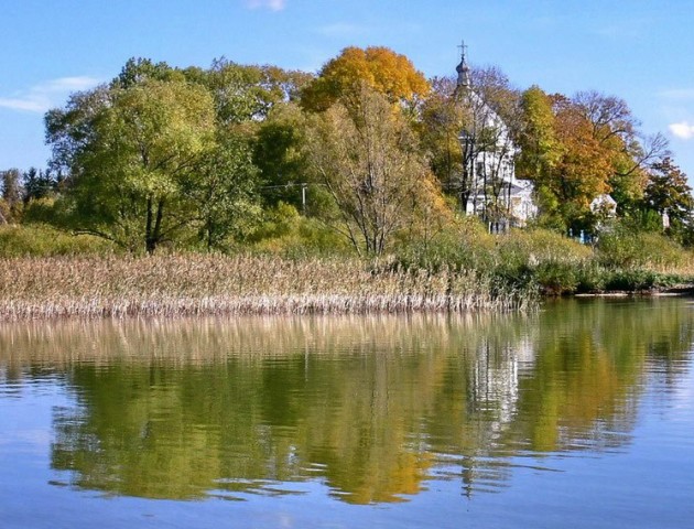 В Шацькому національному парку заперечують масову вирубку дерев в урочищі Гушів. ВІДЕО