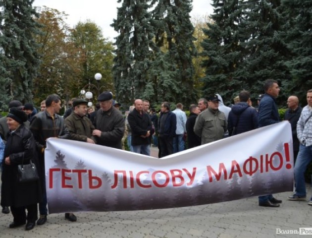 У Луцьку відбулась акція під «лісовим» управлінням. ФОТО