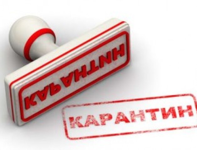 Кому в Луцьку дозволять працювати в умовах карантину? Список