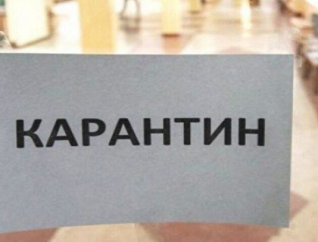 На Волині карантин можуть не послабити, – міністр Степанов