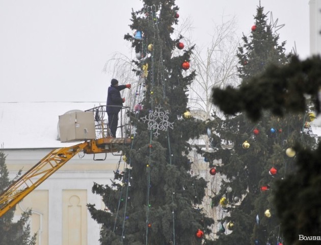 Новорічні ялинки у Луцьку: як прикрашають,  якими вогниками та у скільки це обійдеться. ВІДЕО