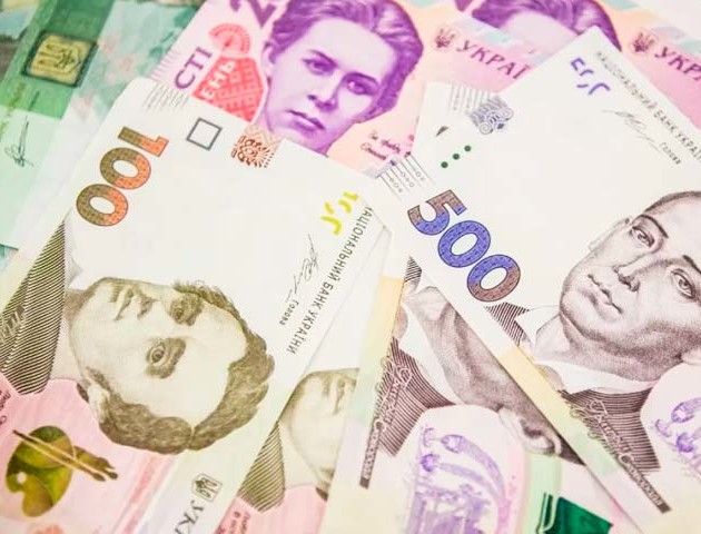 На Волині місцеві бюджети отримали понад 250 мільйонів плати за землю