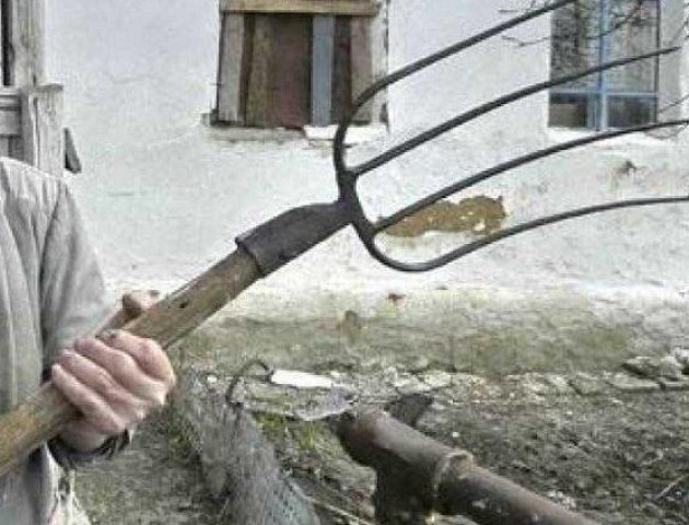 Колов вилами за вбивство брата: жахливі подробиці нападу на пенсіонера на Волині