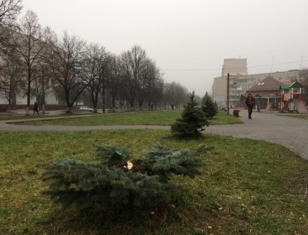 У Луцьку посеред вулиці зрубали і вкрали ялинку. ФОТО