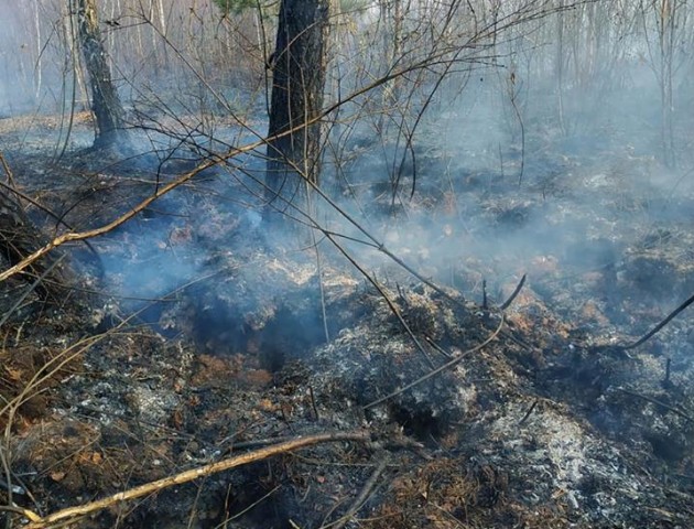 Через «політику» на Волині горіли сім гектарів торфовищ, – голова РДА