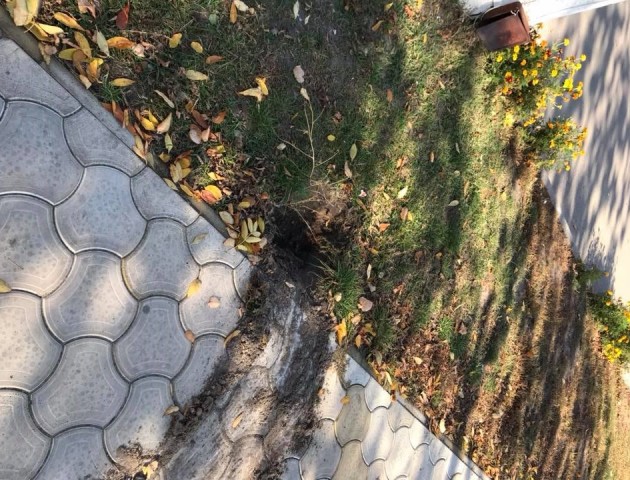 У Любешові похуліганили вандали