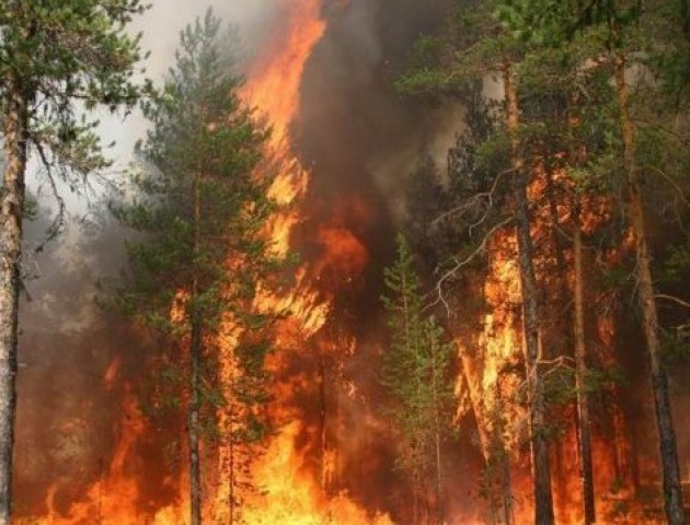 На Волині – найвищий клас пожежної небезпеки