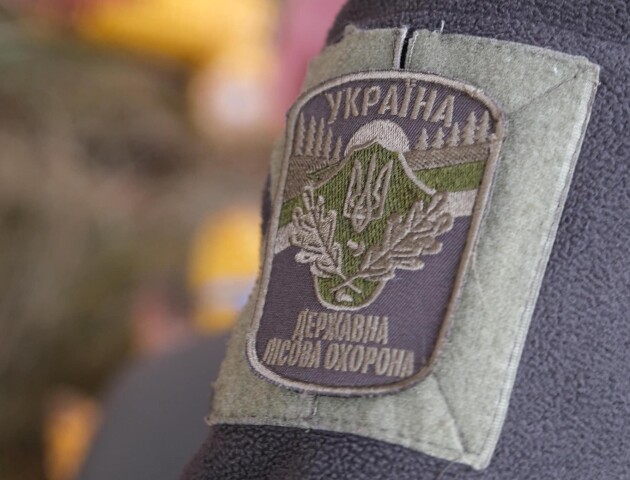 На Волині для диких звірів на зиму роблять підгодівельні майданчики