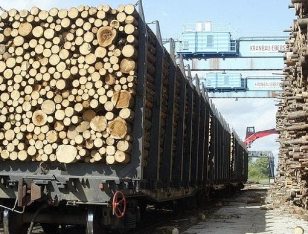 Майже 70 кубів лісу з Волині хотіли незаконно вивести у Німеччину