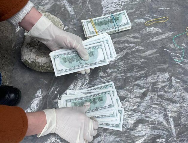 Волинянка намагалася продати 11-місячну дитину за $30 тисяч: подробиці скандалу