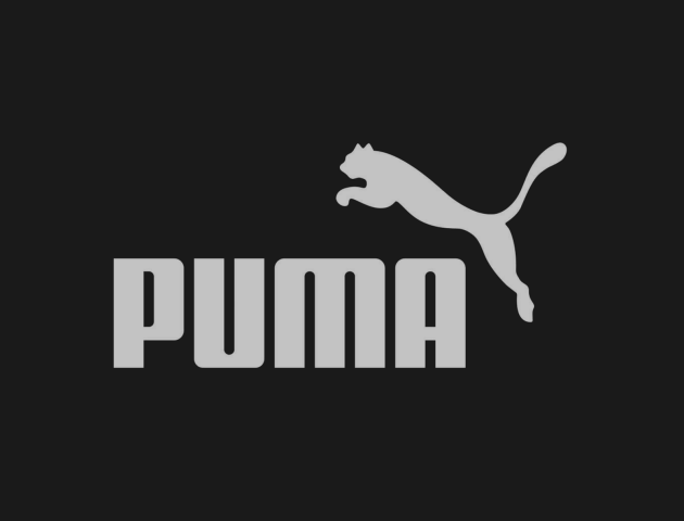 PUMA залишається у лідерах