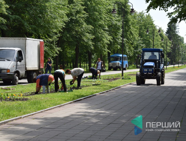 Міст закоханих та мульчер: як реконструюють Центральний парк у Луцьку. ФОТО. ВІДЕО