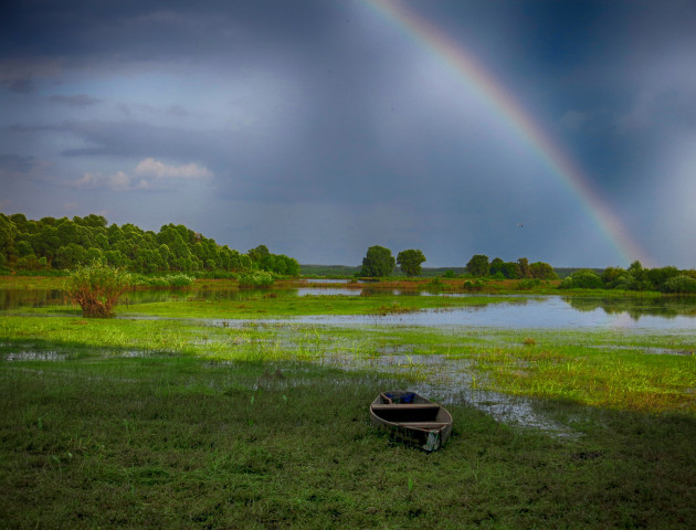 Якою буде погода у Луцьку та області 17 травня