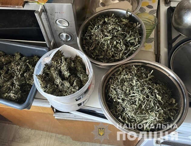 Нововолинець виростив коноплі на 150 тисяч гривень