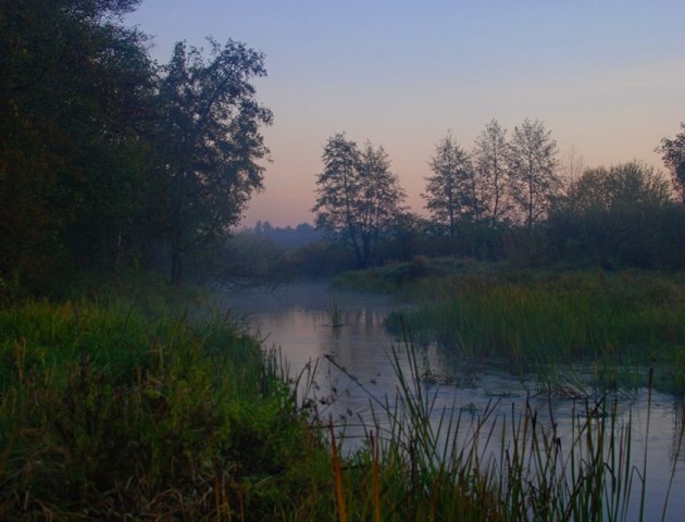 Осіння краса річки Прип'ять: опублікували вражаючі фотографії