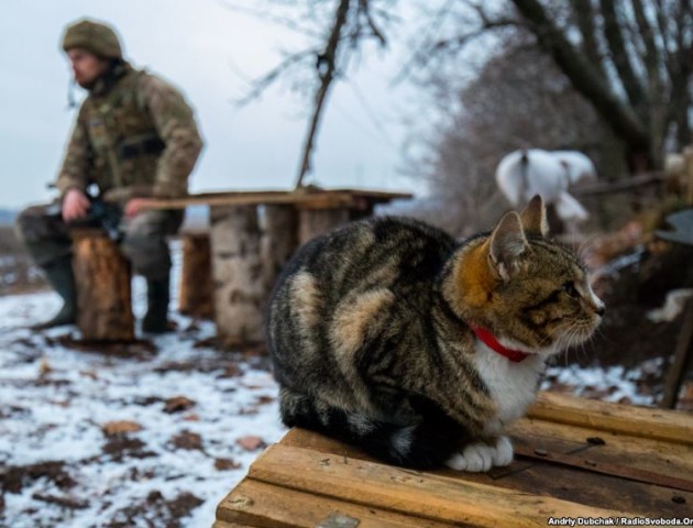 Бойовики Донбасу зірвали оголошене раніше перемир'я