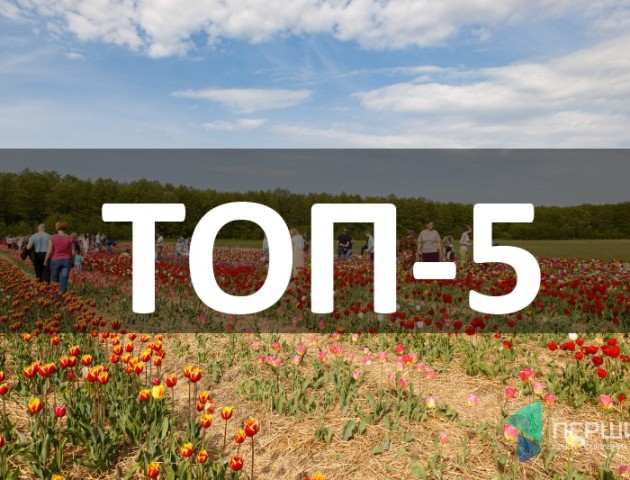 «Волинська Голландія», страшні ДТП та побиття сокирою: ТОП-5 за вихідні