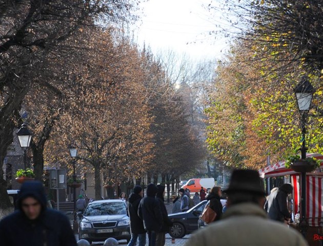 Листопад у Луцьку на атмосферних світлинах Віктора Чухрая. ФОТО