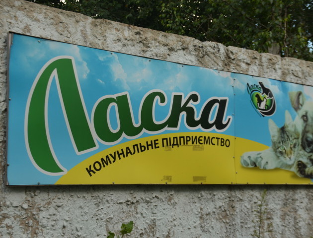 Луцьку «Ласку» перевірять