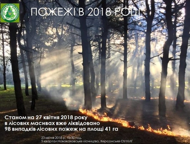 З початку року в Україні сталося близько сотні лісових пожеж