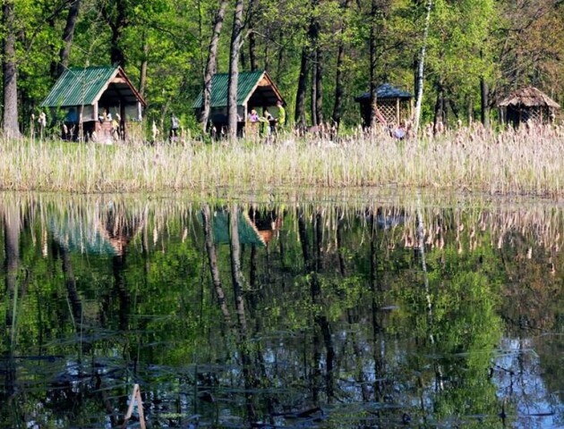 На пікнік з користю: у неділю всіх запрошують на благодійне свято