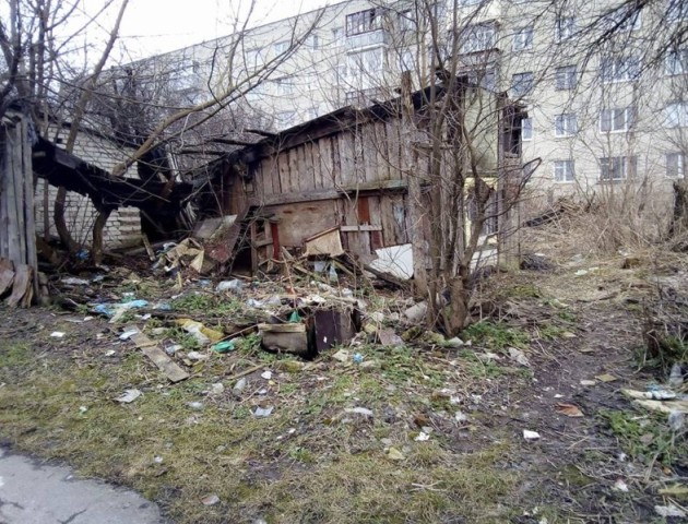 Де в Луцьку мішками привозять курей та рубають їх. ФОТО