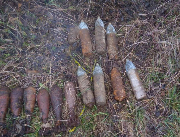 На Волині сапери знешкодили 8 мінометних мін часів Другої світової війни