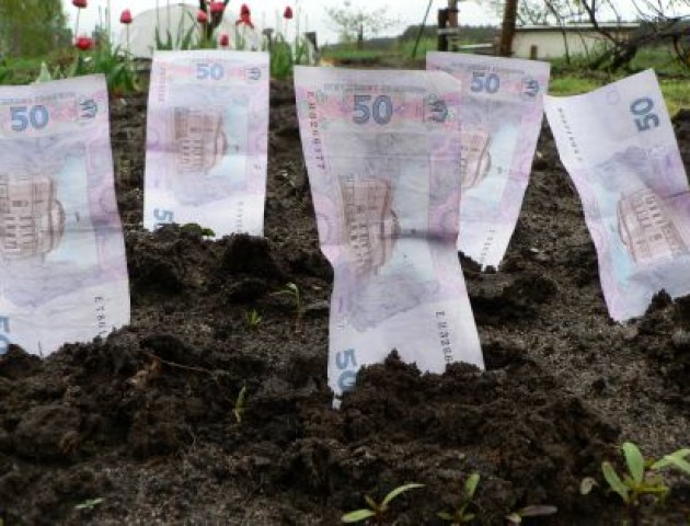 Волинські місцеві громади за землю отримали понад 125 мільйонів гривень