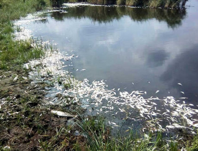 Верховна Рада планує значно підвищити штрафи за забруднення водойм та браконьєрство
