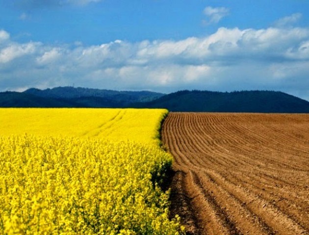 Волинські депутати відмовилися знімати мораторій на продаж землі