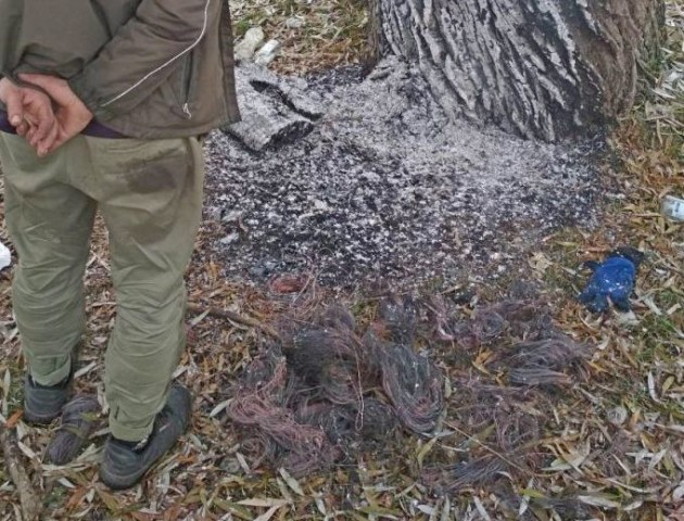 На Волині зловили кабельного злодія