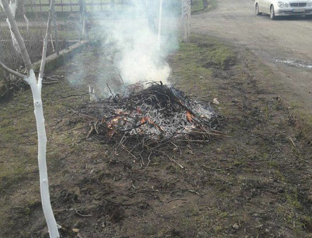 Муніципали покарали лучан, які палили гілки