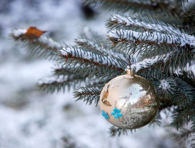 Якою буде погода на Волині на початку січня