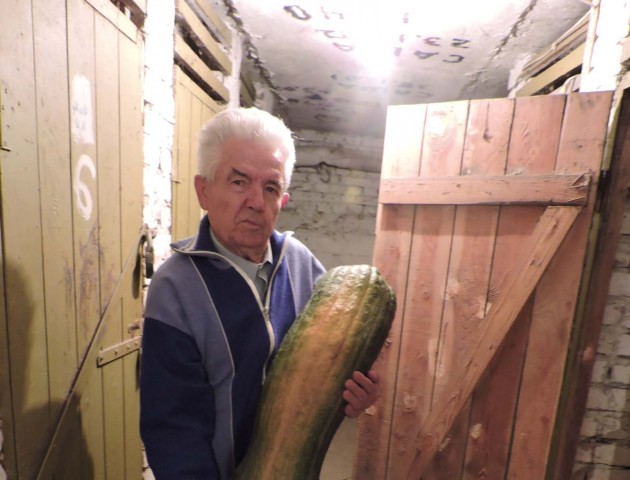 Лучанин виростив овоча-гіганта. ФОТО