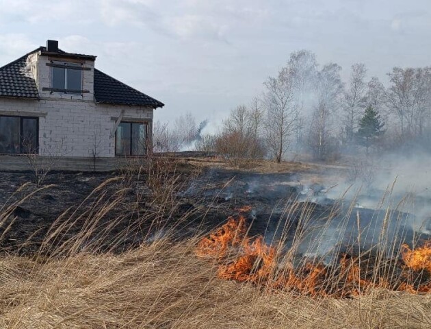 Волинянина оштрафують за спалювання сухої трави