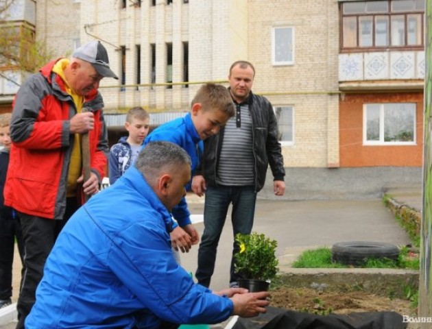 У луцькому дворі висадили фруктові дерева та пофарбували дитячий майданчик. ФОТО